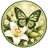 angelaw12774