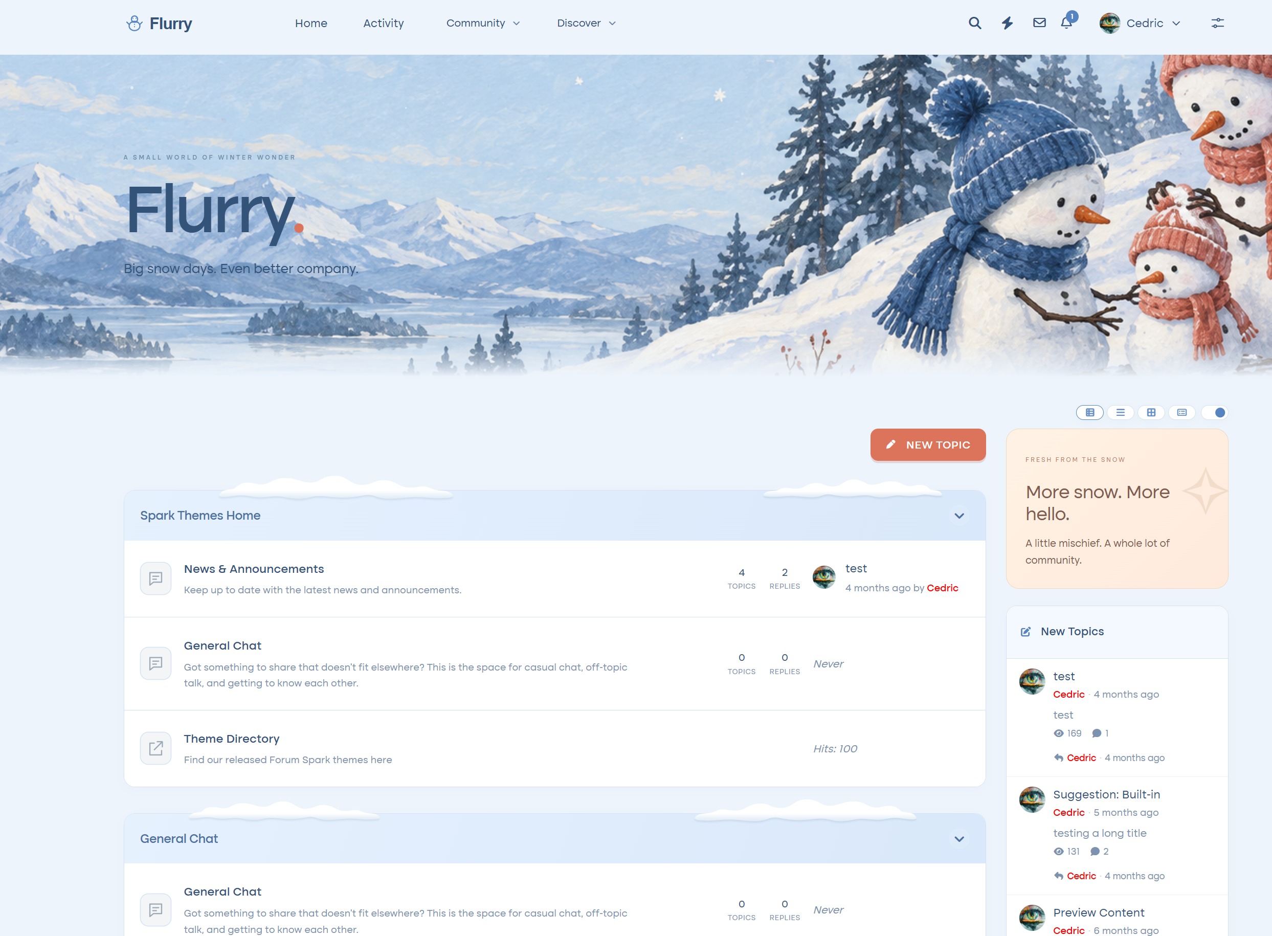 Flurry screenshot